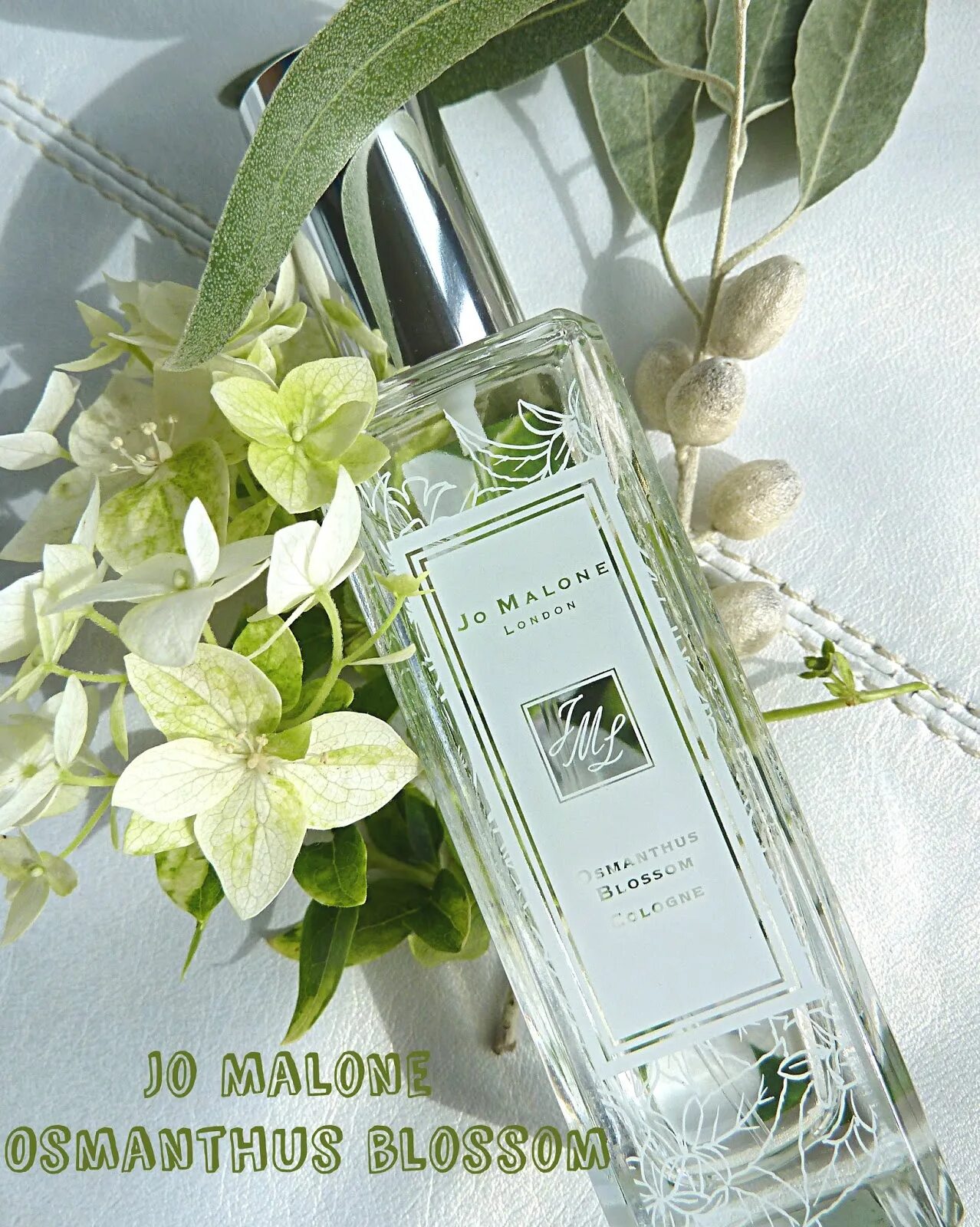 Духи Jo Malone Osmanthus. Jo Malone Osmanthus Blossom Cologne. Одеколон Jo Malone Osmanthus Blossom. Jo Malone лимитированная коллекция 2019. Османтус парфюм