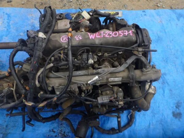 5 дизель wlt. 5. Двигатель wl-t 2. Двигатель wl-t 2. Wl-t 2.