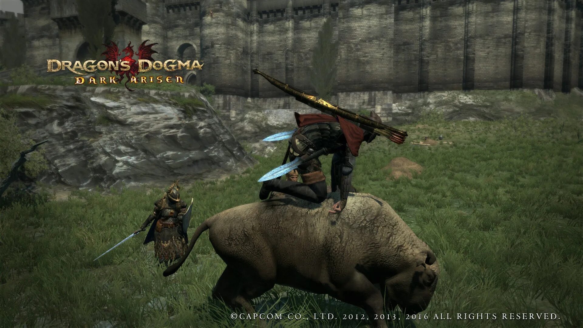 Dragons dogma огр. Скайрим мод Dragon Dogma. Мод на берсерка Dragons Dogma. Dragon's Dogma Weapons. Dragons Dogma Mod меч.