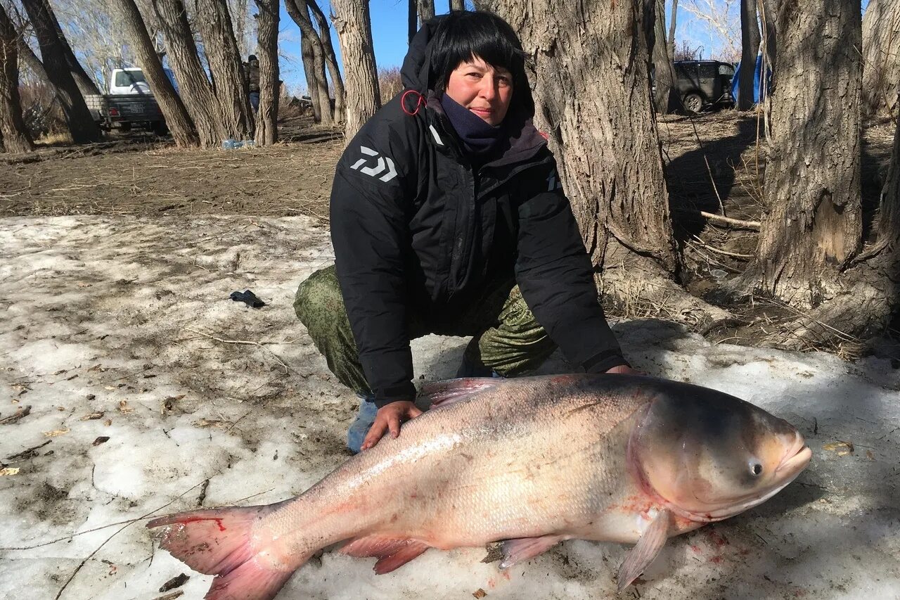 метляк на иртыше. щука 70 кг на озере ильмень. какая рыба в иртыше. рыба в иртыше омск. язь иртыш.