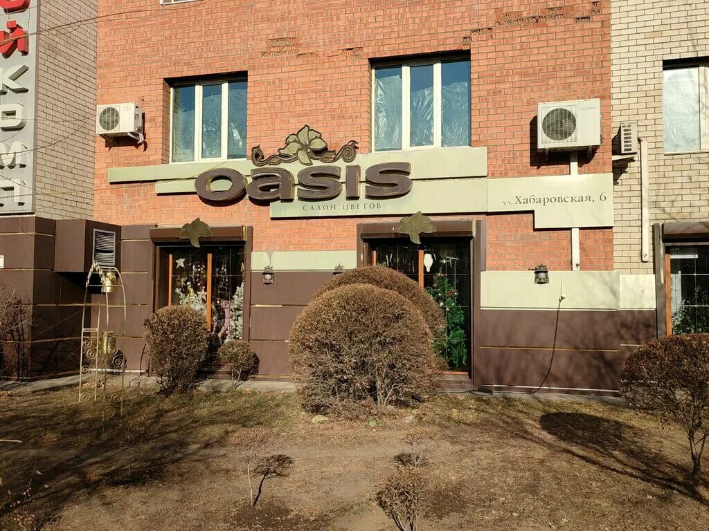 оазис логотип. бутина 93 чита. чита оазис цветочный магазин. оазис чита. оазис чита.