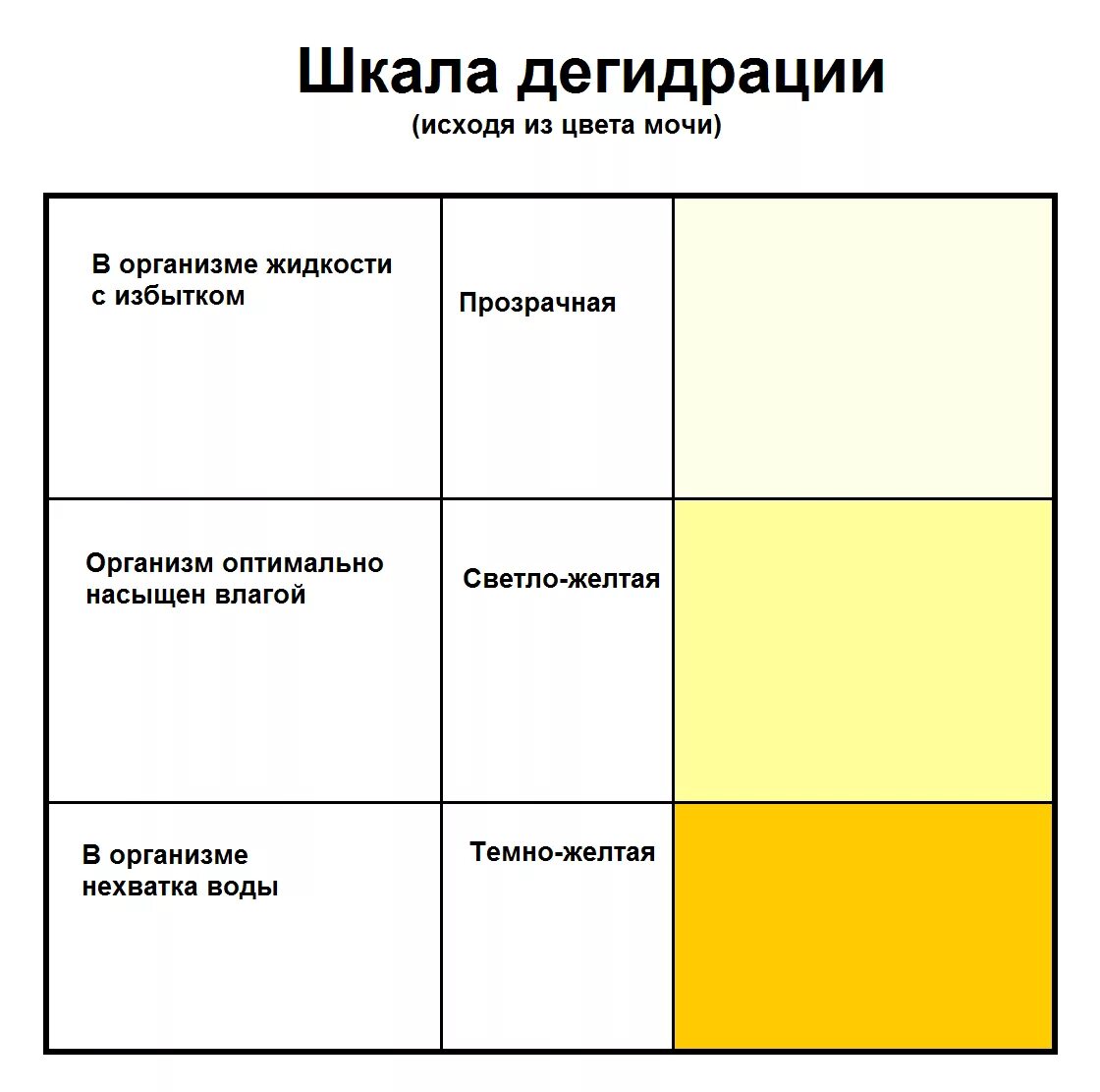 Почему моча стала пахнуть. Нормальный цвет мочи при беременности в 3 триместре. Моча аномального цвета. Нормальный цвет мочи. Моча светло желтого цвета.