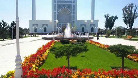 Hello tashkent