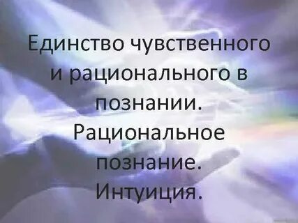 Единство чувственного и рационального в познании