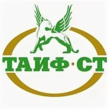 Таиф инн. ТАИФ ст. ООО ТАИФ. ТАИФ НК логотип. ООО ТАИФ ст.