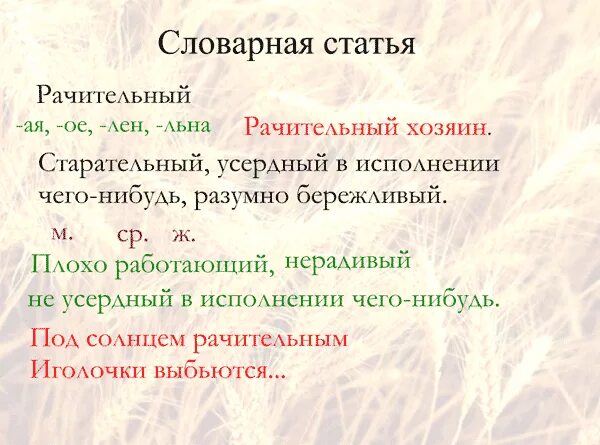 Словарная статья. Словарная статья слова. Словарная статья пример. Как написать словарную статью.