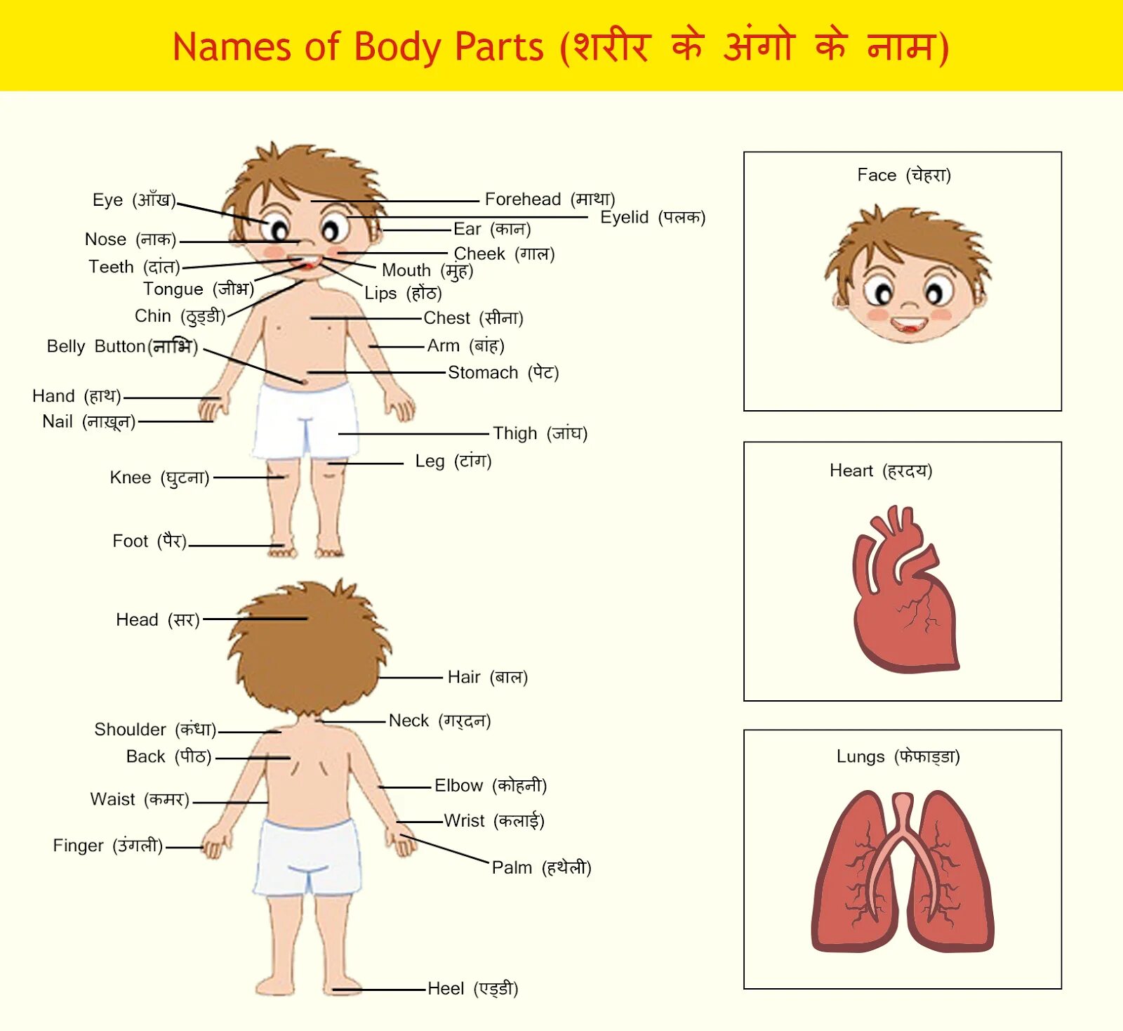 Body Parts in English. Body Parts face. Parts of the body слова. Части тела на английском для детей Teeth. Toes транскрипция