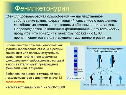 Фенилкетонурия мутация
