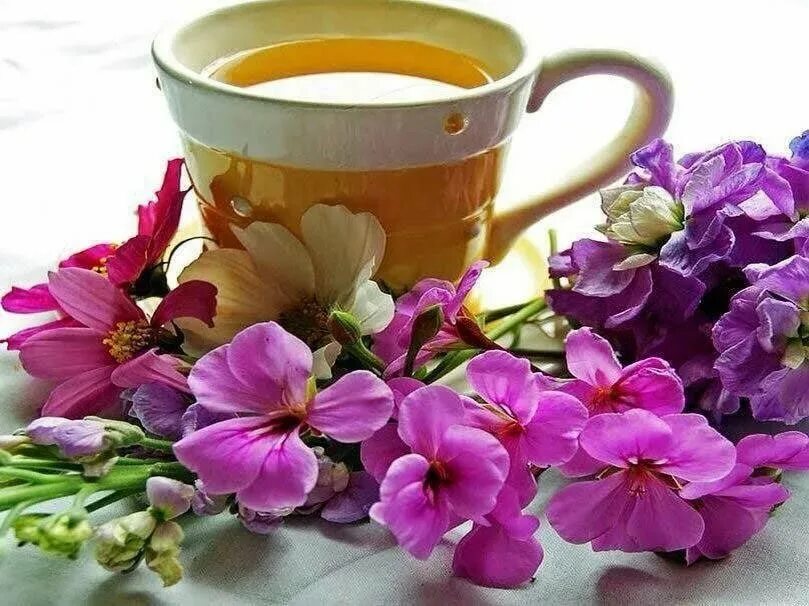 Добрейшего утречка цветы. Чай цветок. Утро чай цветы. Утренние цветы картинки. Доброе утро чай цветы.