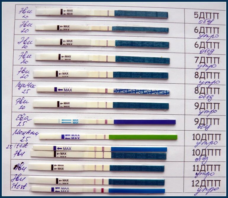 Тесты на беременность после подсадки эмбриона. Тест на беременность 5 дней после подсадки. Тесты на беременность после подсадки эмбриона 5 дней. Эко тесты на 7 день после переноса. ХГЧ на 6 ДПП.