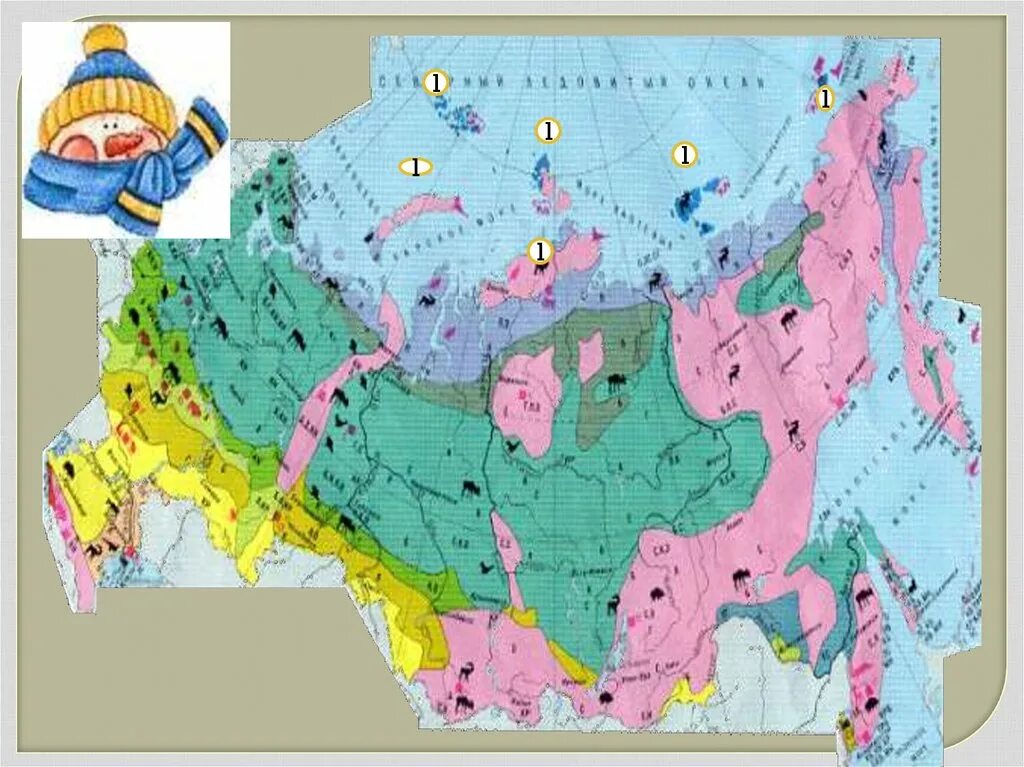 Зона тундры на карте природных зон. Зона тундры и лесотундры на карте России. Природные ресурсы тундры на карте России. Природные ресурсы лесотундры на карте. Тундра и другие зоны