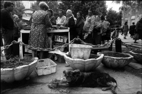 Украинская 90