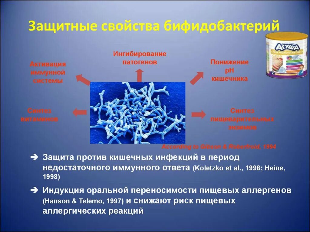 Бифидобактерии где. Бифидобактерии строение клетки. Полезные бактерии бифидобактерии. Строение бифидобактерий. Характеристика бифидобактерий.