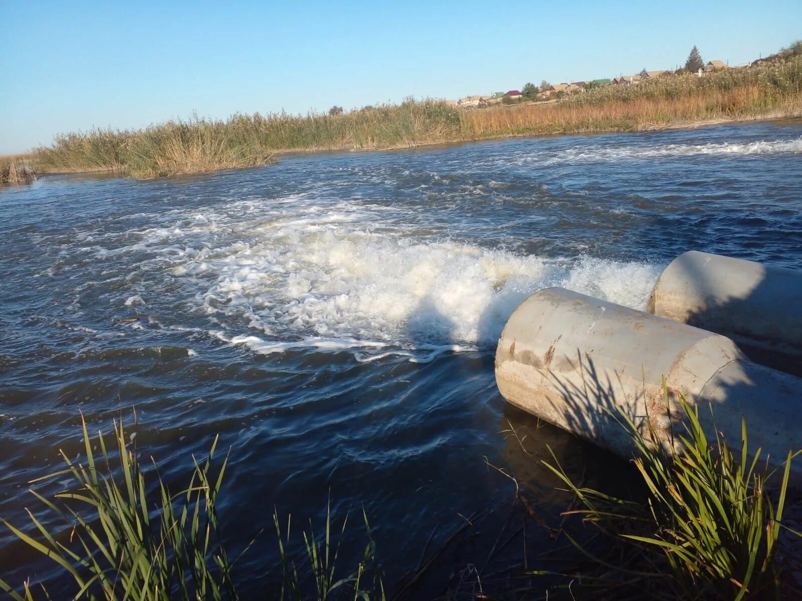 Неочищенные сточные воды. Вода река. Водные объекты Астраханской области. Обмелевшая река.