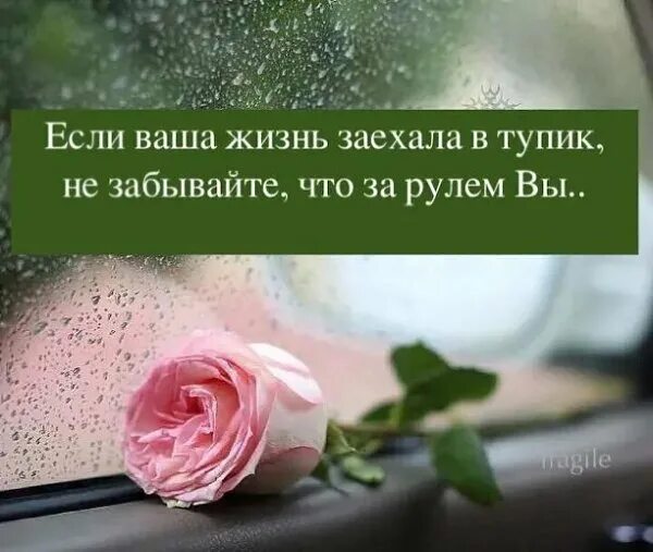 Зайти в тупик. Когда жизнь зашла. Когда жизнь зашла. Когда человек кажется что в его жизни идет все наперекосяк. В мою жизнь входят те кто хочет и кто хочет уходит.