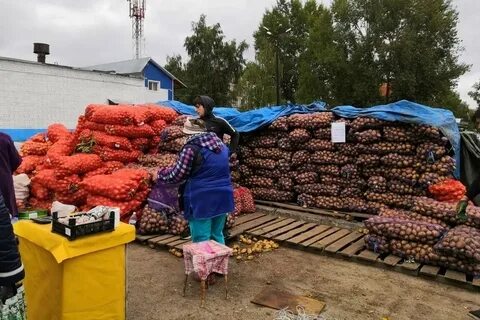 Сельхоз ярмарка в казани