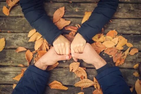 Согласие крепче каменных стен