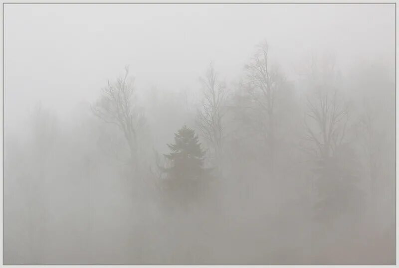 аршавин туман туманище