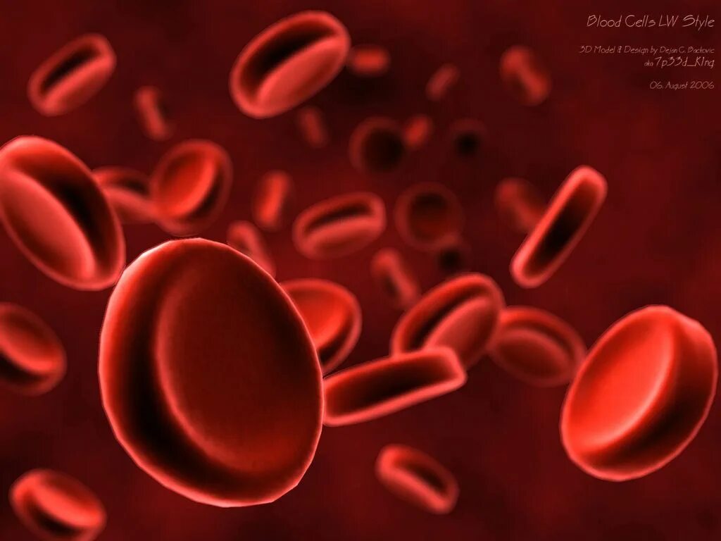 Кипящая кровь. Клетки крови. Эритроциты.