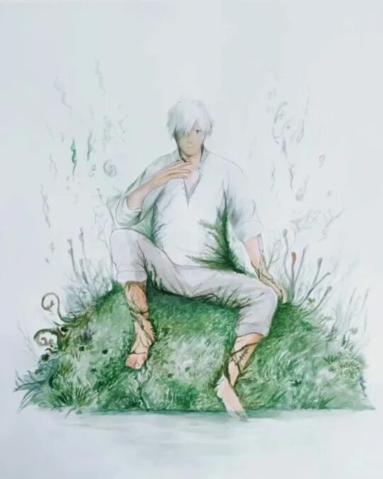 Mushishi 2005. Гинко mushishi. Гинко мушиши. Гинко мушиши. Таинственный додзин полностью культивированная девочка гинко манга.