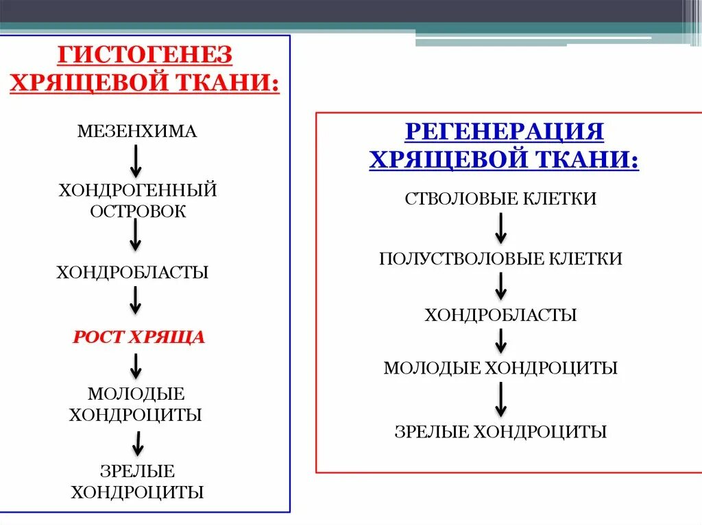 Процесс качественного изменения. Схема гистогенез хрящевых тканей. Основные этапы регенерации хрящевой ткани. Основные этапы гистогенеза хрящевой ткани. Основные этапы гистогенеза и регенерации хрящевой ткани..