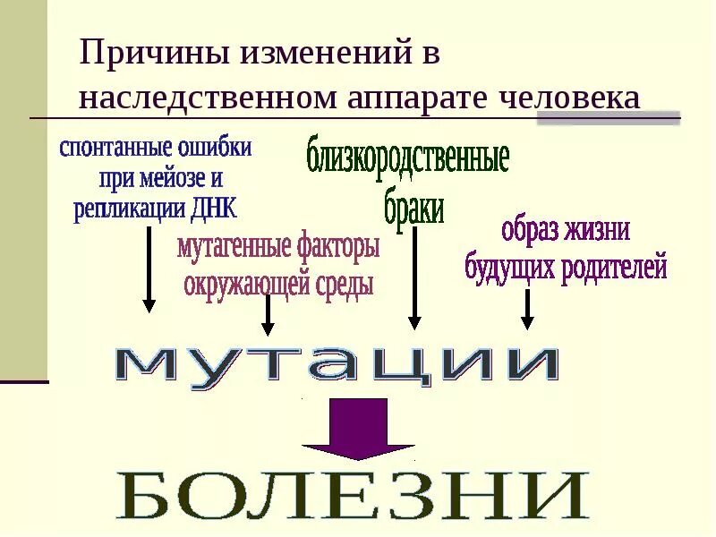 Вызывают изменения в наследственной информации. Причины возникновения наследственных заболеваний. причины наследственных болезней человека. наследственные болезни их причины и профилактика. причины изменения в наследственном аппарате человека.