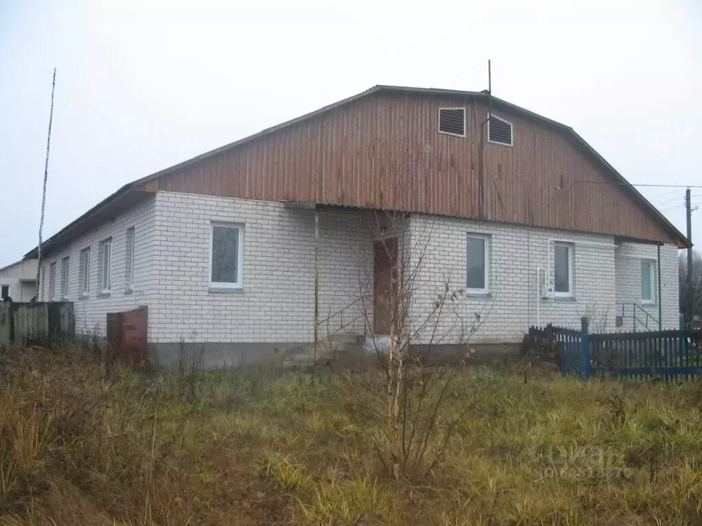 Жеча стародубский район. Жеча стародубский район брянская. Жеча брянская область. Малодеятельная железнодорожная линия. Жеча.