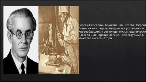 Брюхоненко