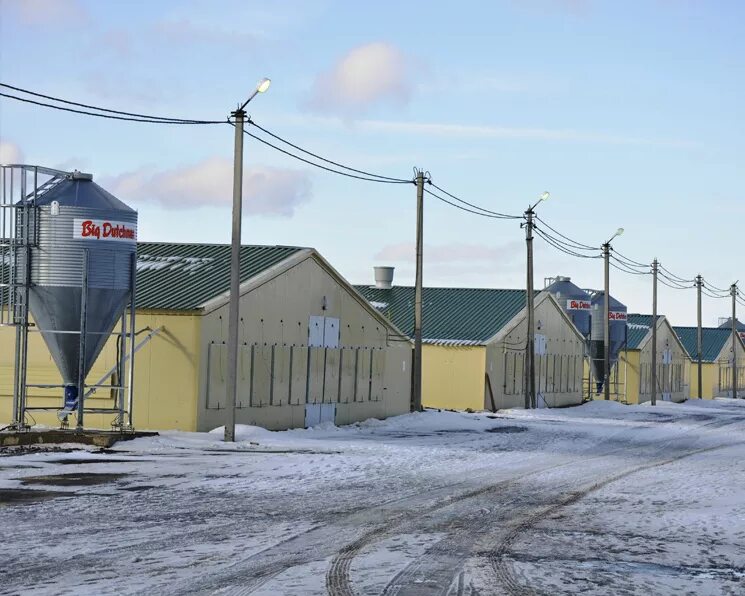 Оао токаревская. Сорочинский кхп элеватор. Оао токаревская. Оао токаревская. Оао токаревская.