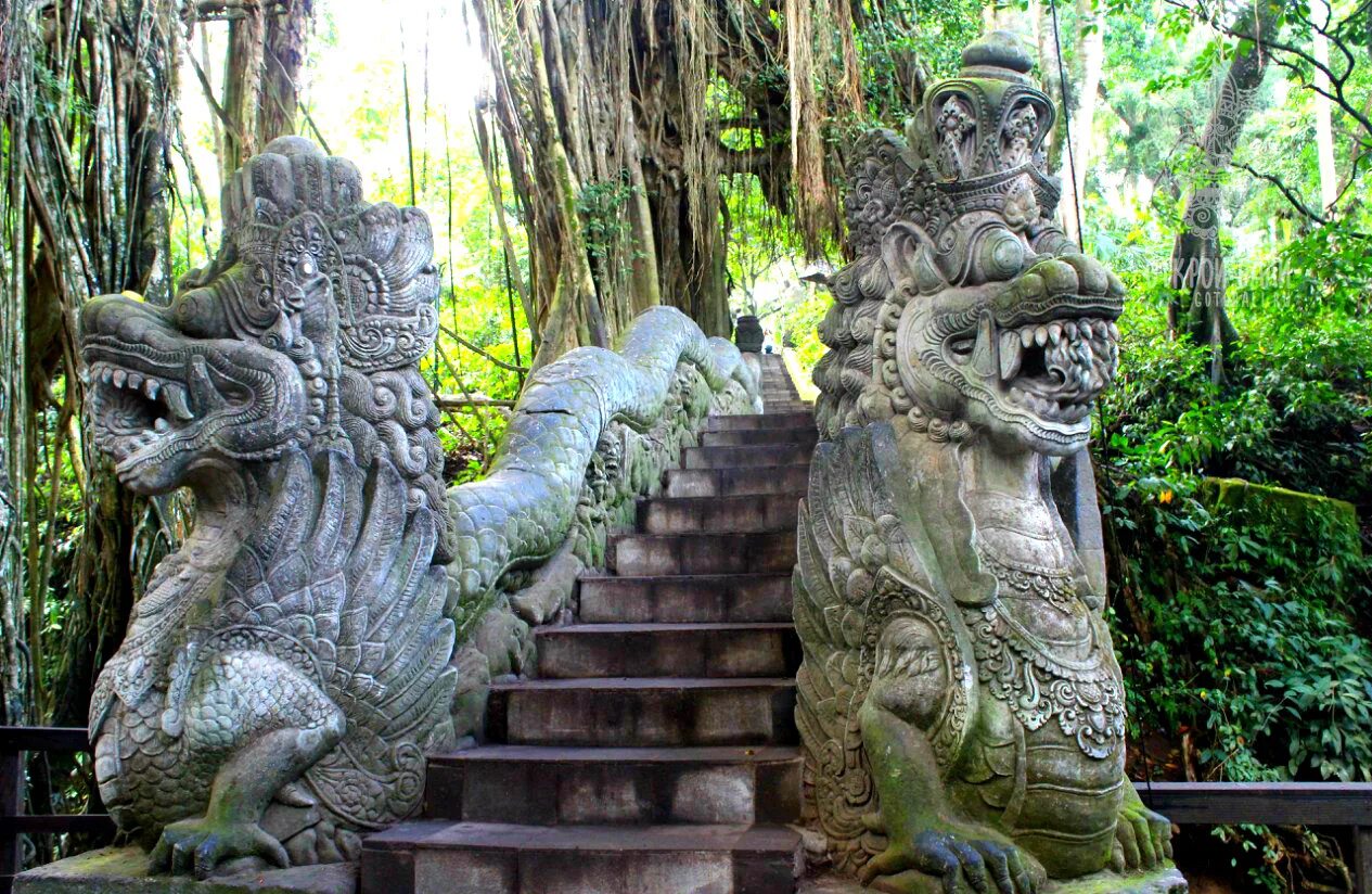 Парк обезьян бали. Убуд на бали парк обезьян. Monkey forest бали. Убуд на бали парк обезьян. Лес обезьян убуд.