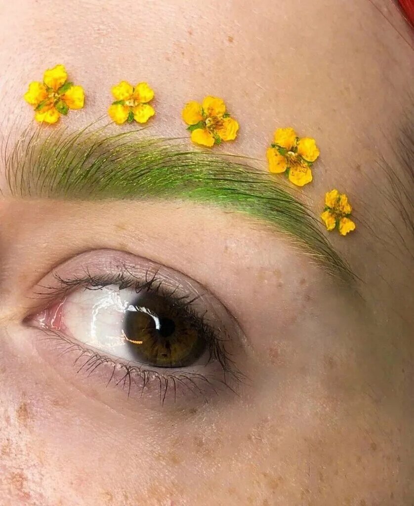 ок крошка ярославль