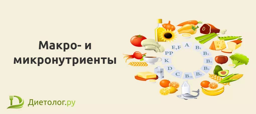 Нутриенты это. Макро и микронутриенты. макро- и микронутриентов в пищевых продуктах. макронутриенты и микронутриенты это. нутриенты.