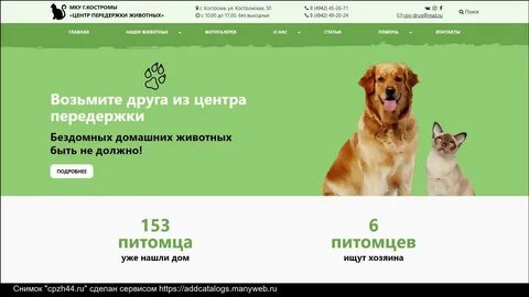 Центр передержки
