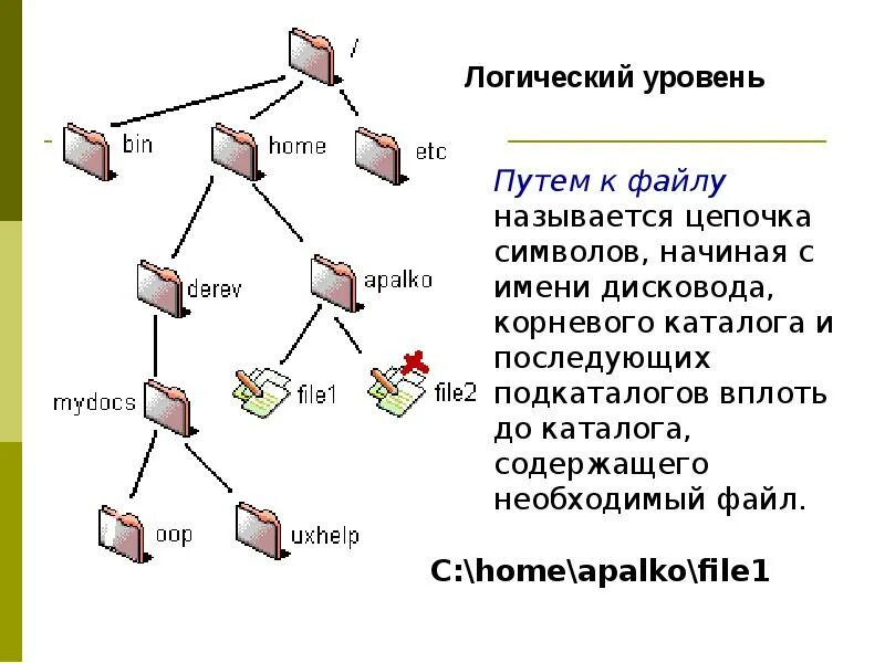 Файловая система ввод и вывод информации. Ввод-вывод файловой системы. логический уровень файловой системы. файловая система и ввод и вывод информации. вывод файловой структуры.