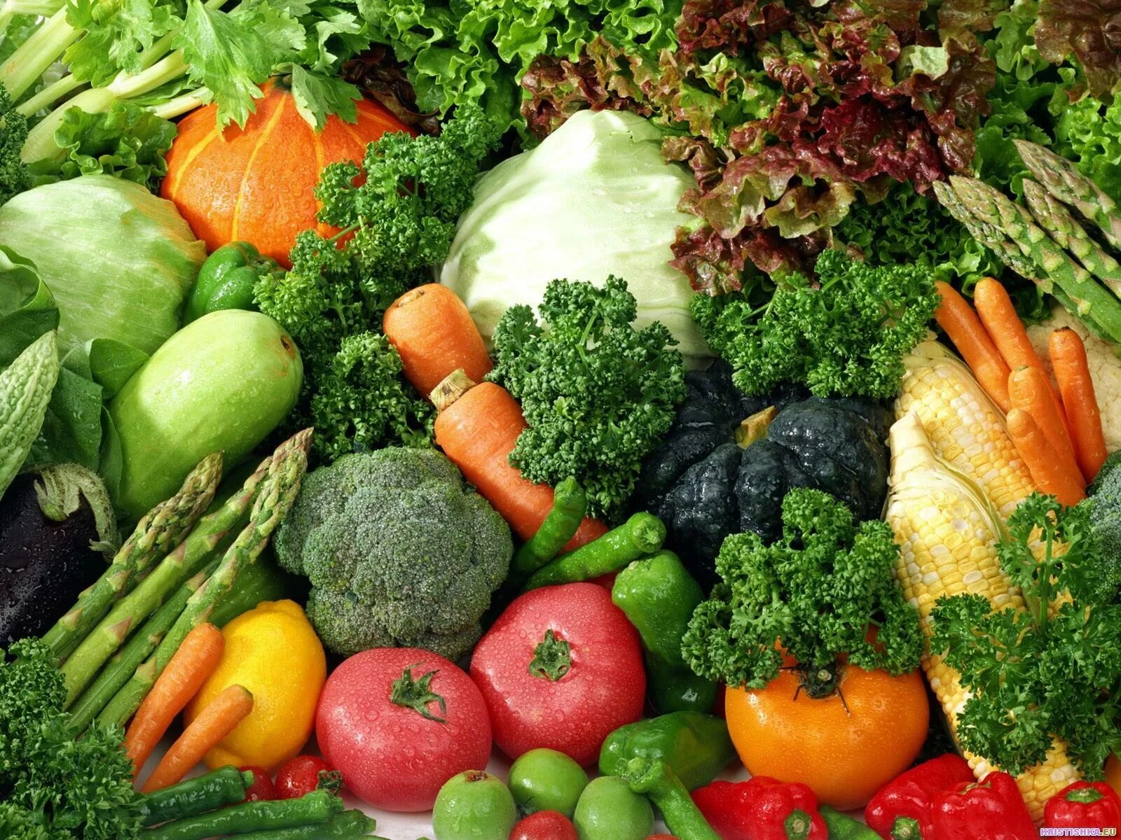 Овощи. Продукты овощи. Овощи разные. Овощи и зелень. Продуктов который используют в качестве