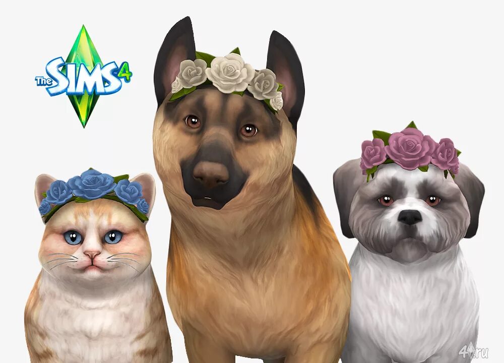 The sims 4. The sims 4 собаки. симс 4 кошки и собаки моды. The sims 4 собаки. симс 4 кошки и собаки моды.