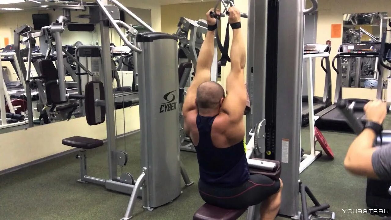 тяга в наклоне обратным хватом. тяга штанги в наклоне обратным хватом. тяга в наклоне обратным хватом. тяга штанги в наклоне обратным хватом техника. тяга штанги в наклоне к поясу обратным хватом.