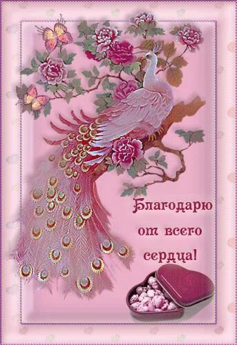 От всего сердца на всю жизнь. Благодарю от всего сердца. благодарю всем сердцем. открытка благодарю от всего сердца. от всего сердца благодарю вас.