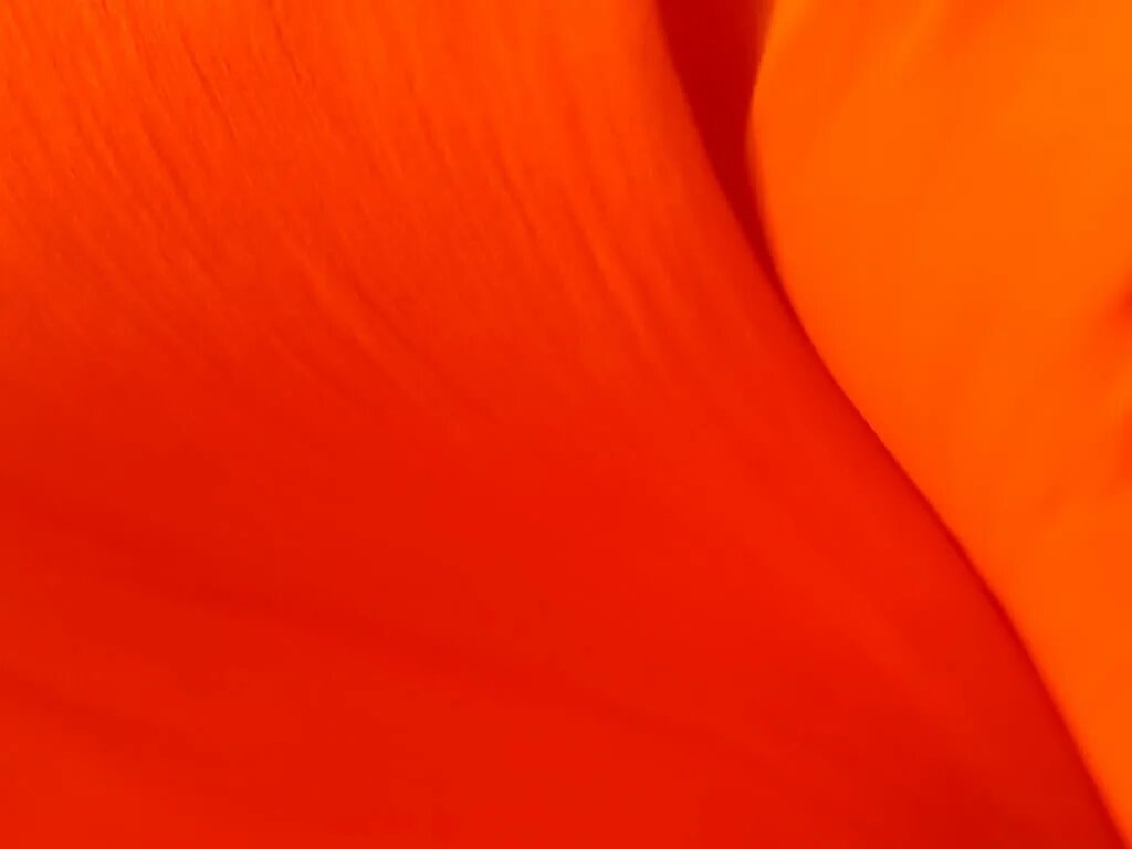 Orange color