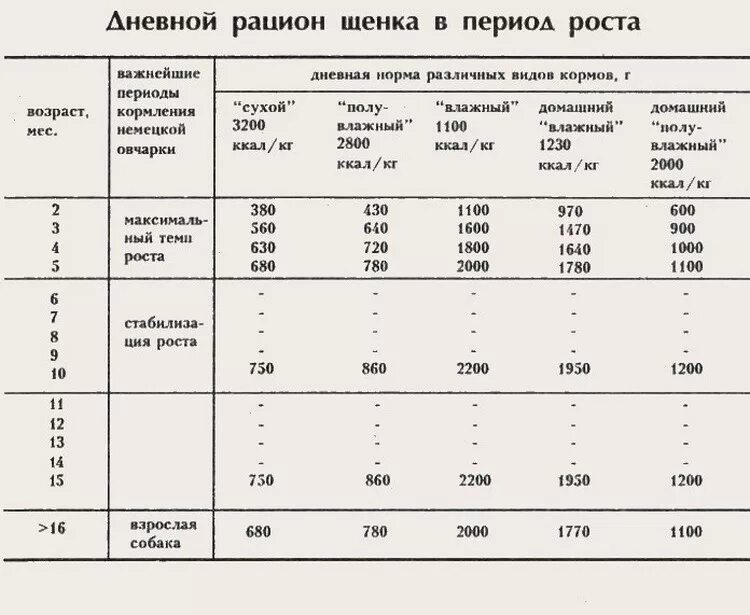 Через сколько кормить собаку. Норма кормления щенка немецкой овчарки. Рацион кормления щенка немецкой овчарки возрастом 2-4. Норма кормления щенка немецкой овчарки 2 месяца. Рацион питания щенка немецкой овчарки 1.5.