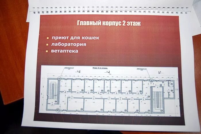 Образцы проектов приютов для животных Строительство приютов для бездомных животных в каждом городе России". Благотво