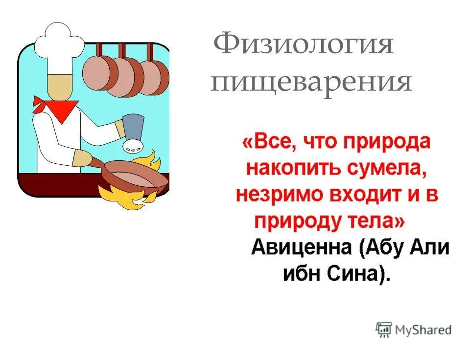 физиология пищеварения тест. тест по пищеварительной системе. физиология пищеварения тест. физиология пищеварения косицкий. картинка для окончания презентации по физиологии.