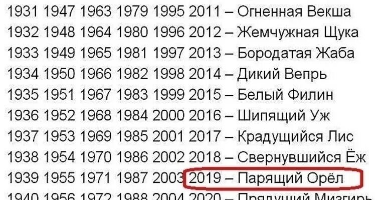 Какой год 23 2023. Символ года по славянскому календарю. Славянский календарь символы года. Символ года по древнеславянскому календарю. Текущий год по славянскому календарю.