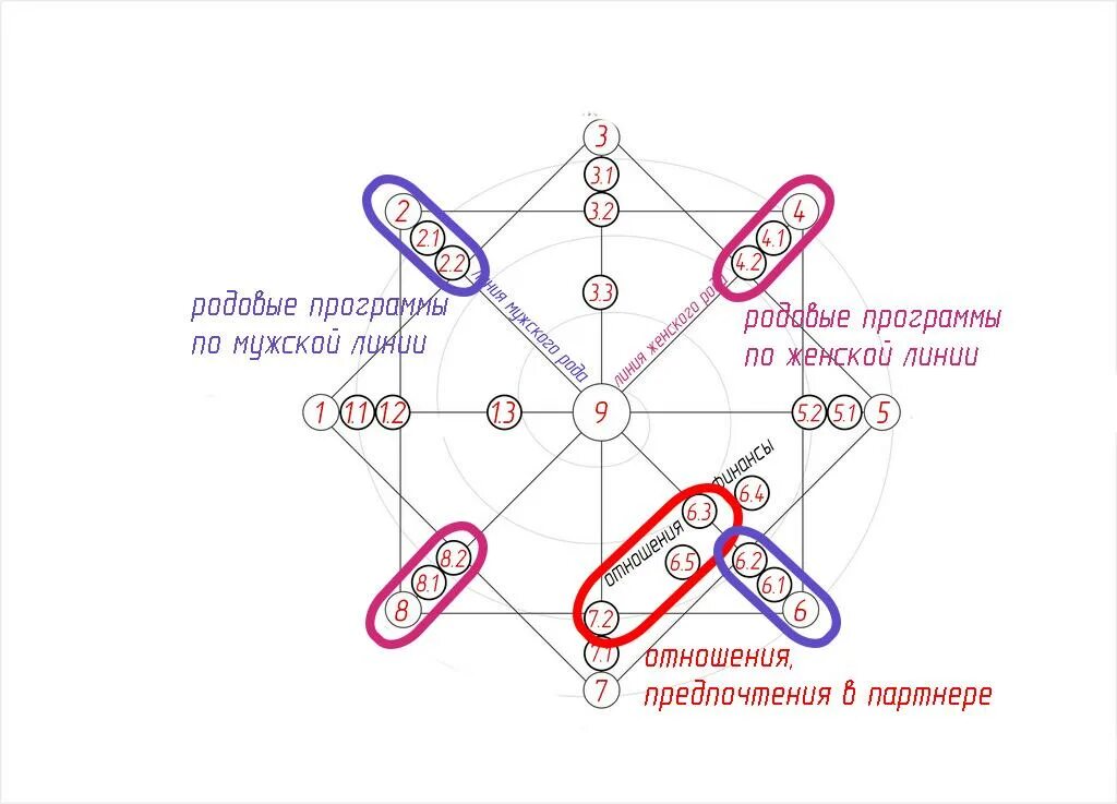 Как узнать кармического партнера. Кармический хвост в матрице судьбы. Родовые программы по матрице судьбы. Родовые программы по мужской линии. Родовая программа в матрице.