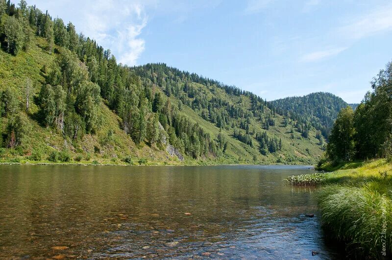 речка томь междуреченск. междуреченск томь. река уса междуреченск. река томь кемеровская область междуреченск. междуреченск томь.