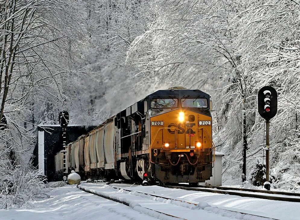 Курсируют ли поезда. Поезд зимой. Красивый зимний поезд. Электричка зима. Обледенелый поезд.