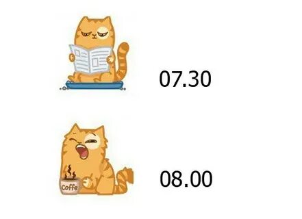 Даты кот