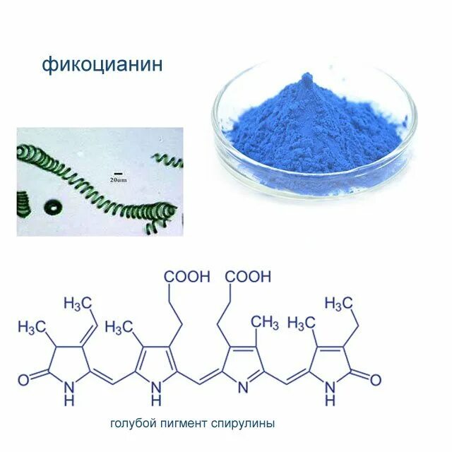 Фикоцианин. Голубая спирулина. Фикоцианин водоросли. Спирулина хим формула. Фикоцианин это