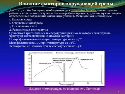 Почему температура влияет на рост бактерий