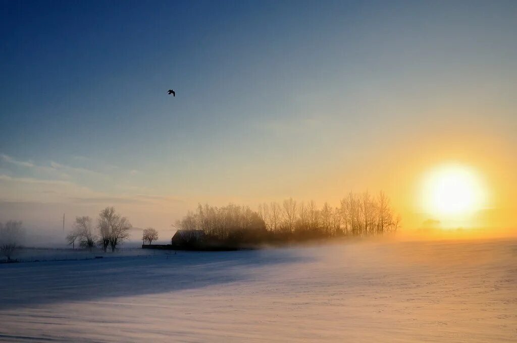 Солнце над горизонтом зимой. Зима солнце низко. Тусклое зимнее солнце. Солнце низко над горизонтом зимой.